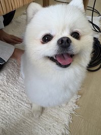 ㅇㅅㅇ下單前看簡介