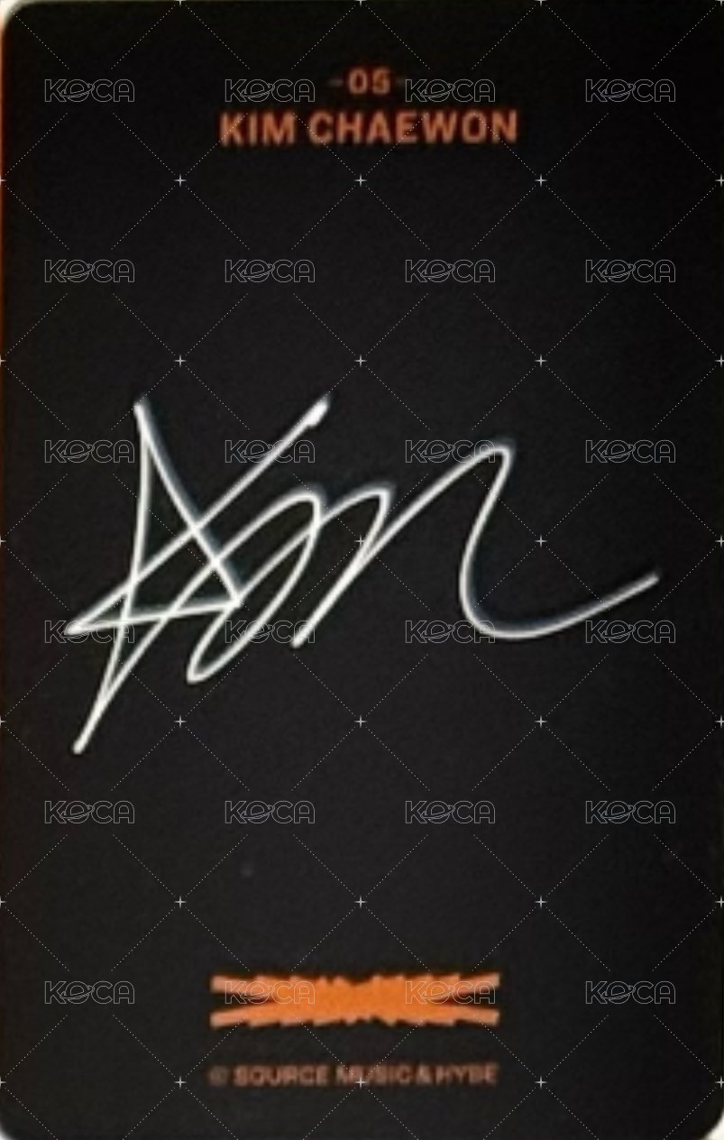 25‘巡迴 東蛋安可 隨機卡  背面