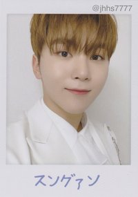 20’蛋巡 隨機卡 