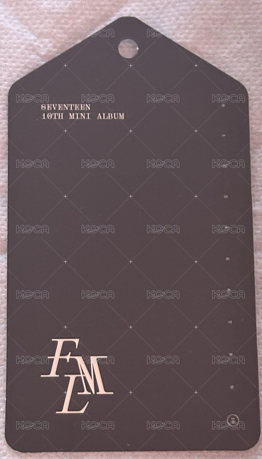MINI10 豪華版 專輯卡 勝寛書籤 背面