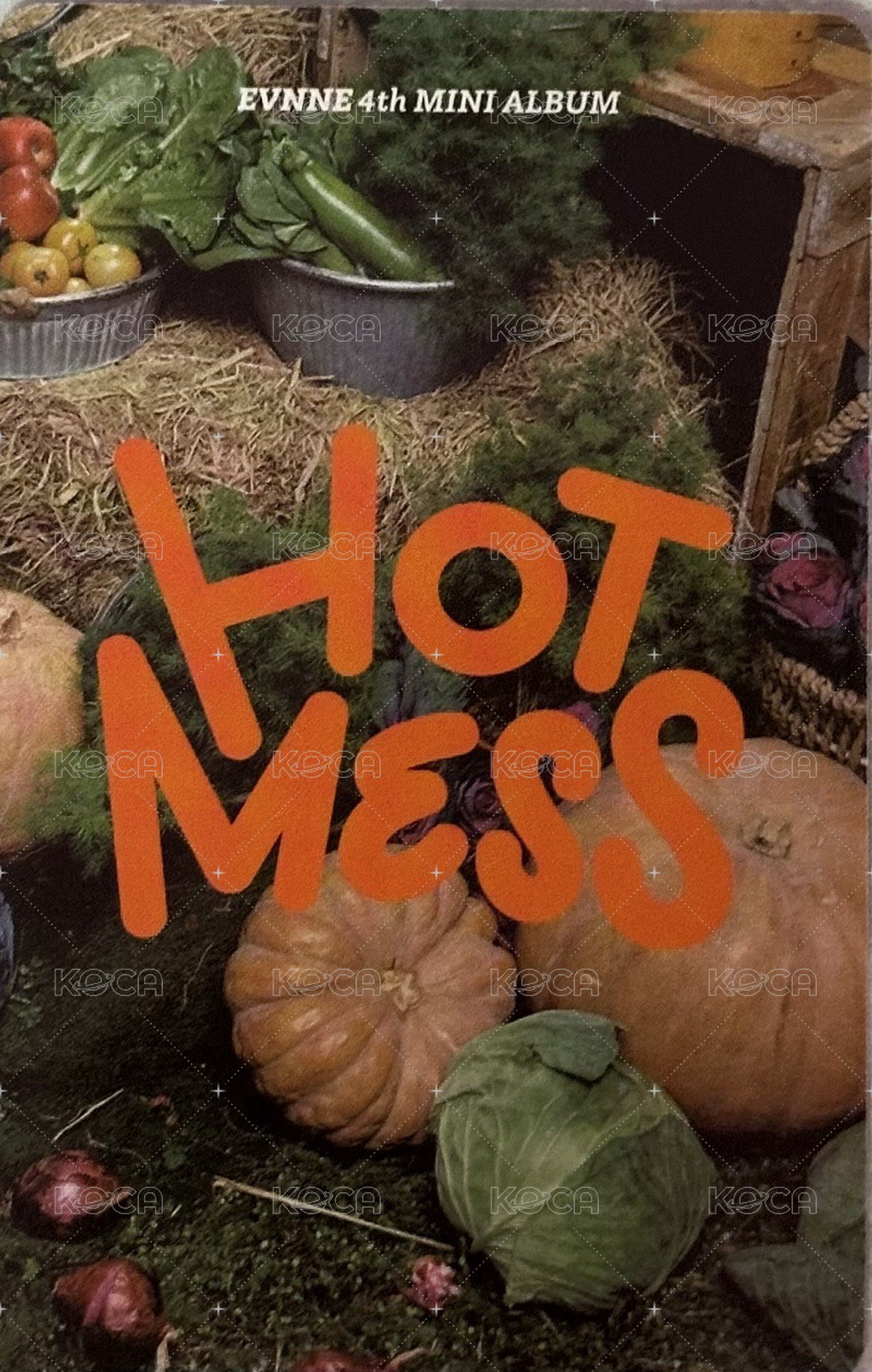 HOT MESS 專輯卡 農夫版 背面