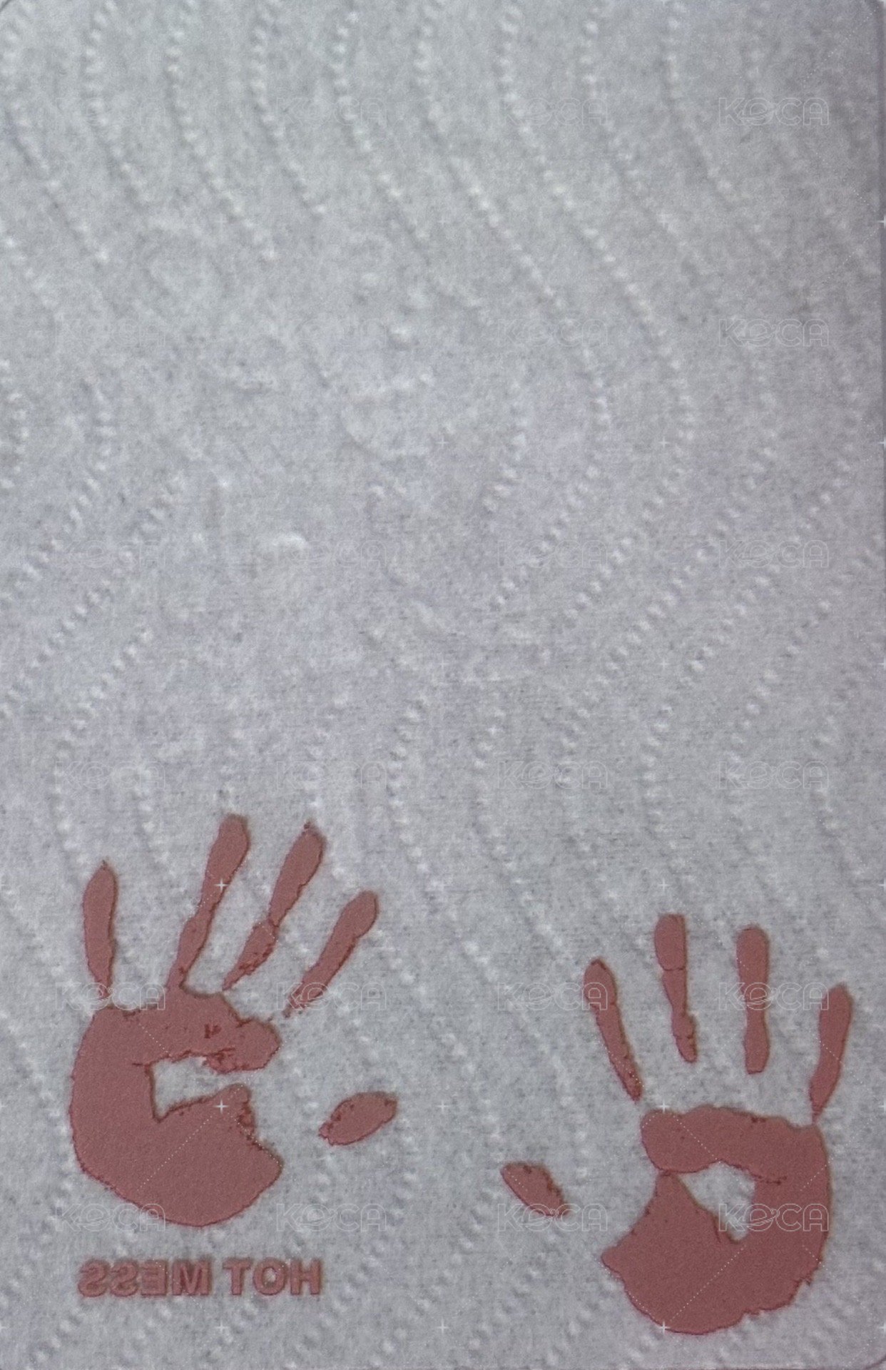 HOT MESS 專輯卡 透卡 背面