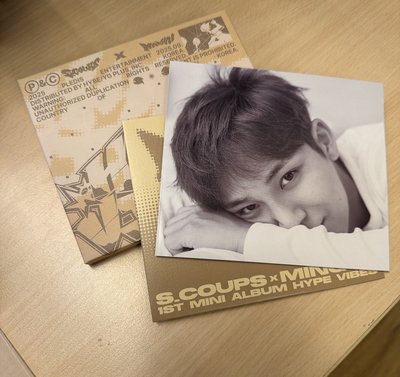 🌸 seventeen spill the feels 空專