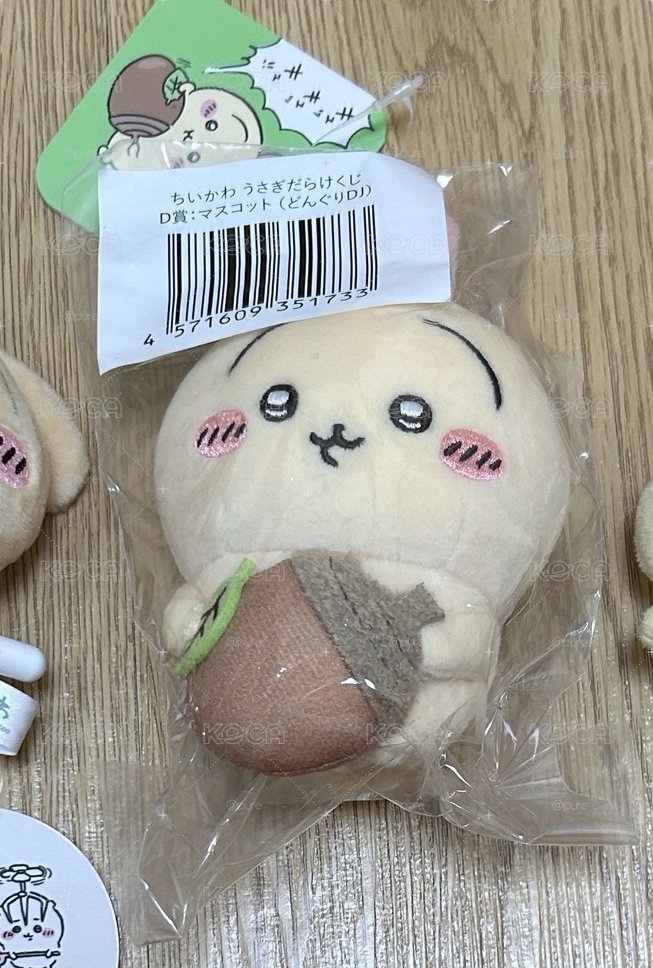 橡果兔