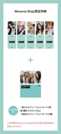 NOT CUTE ANYMORE 日咖預售