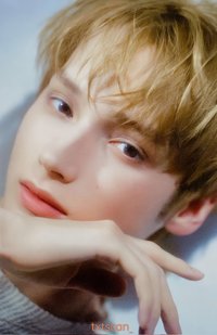 25’巡迴 日巡 隨機卡 