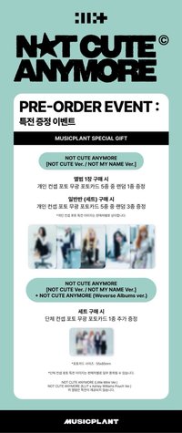 NOT CUTE ANYMORE MP 預售