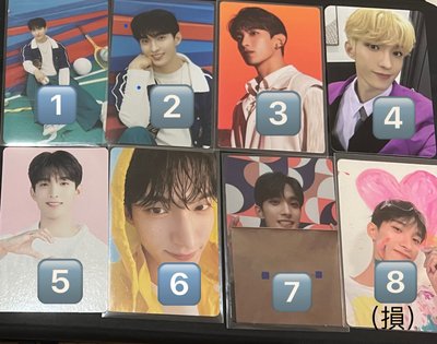 SEVENTEEN 李碩珉 DK 各式小卡