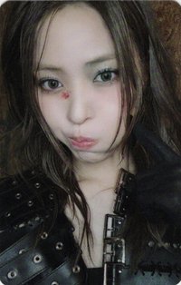 TNVS am 預售 特典卡 