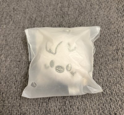 世巡安可快閃 銀色大頭吊飾 菲