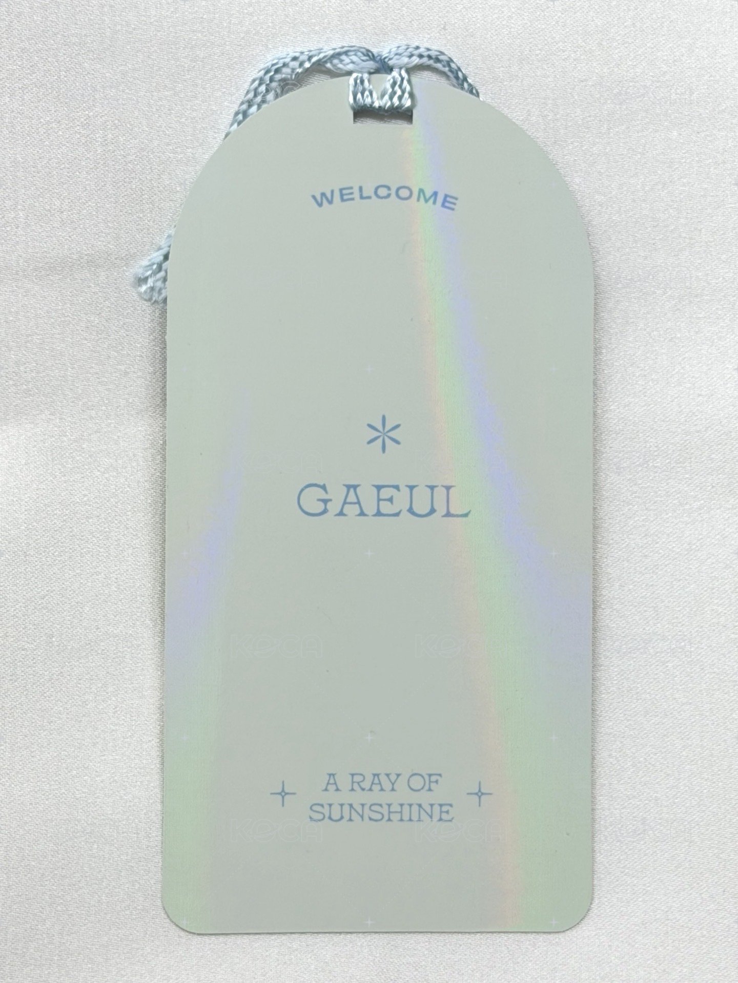 2022年曆 明信片 書籤 背面