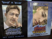 韓國wvs預購特典