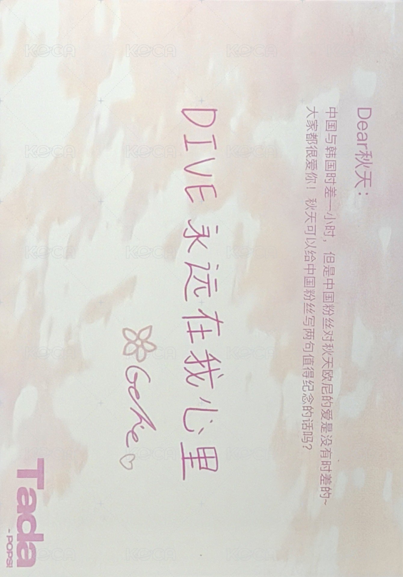 TadaPOPs A版 明信片  背面