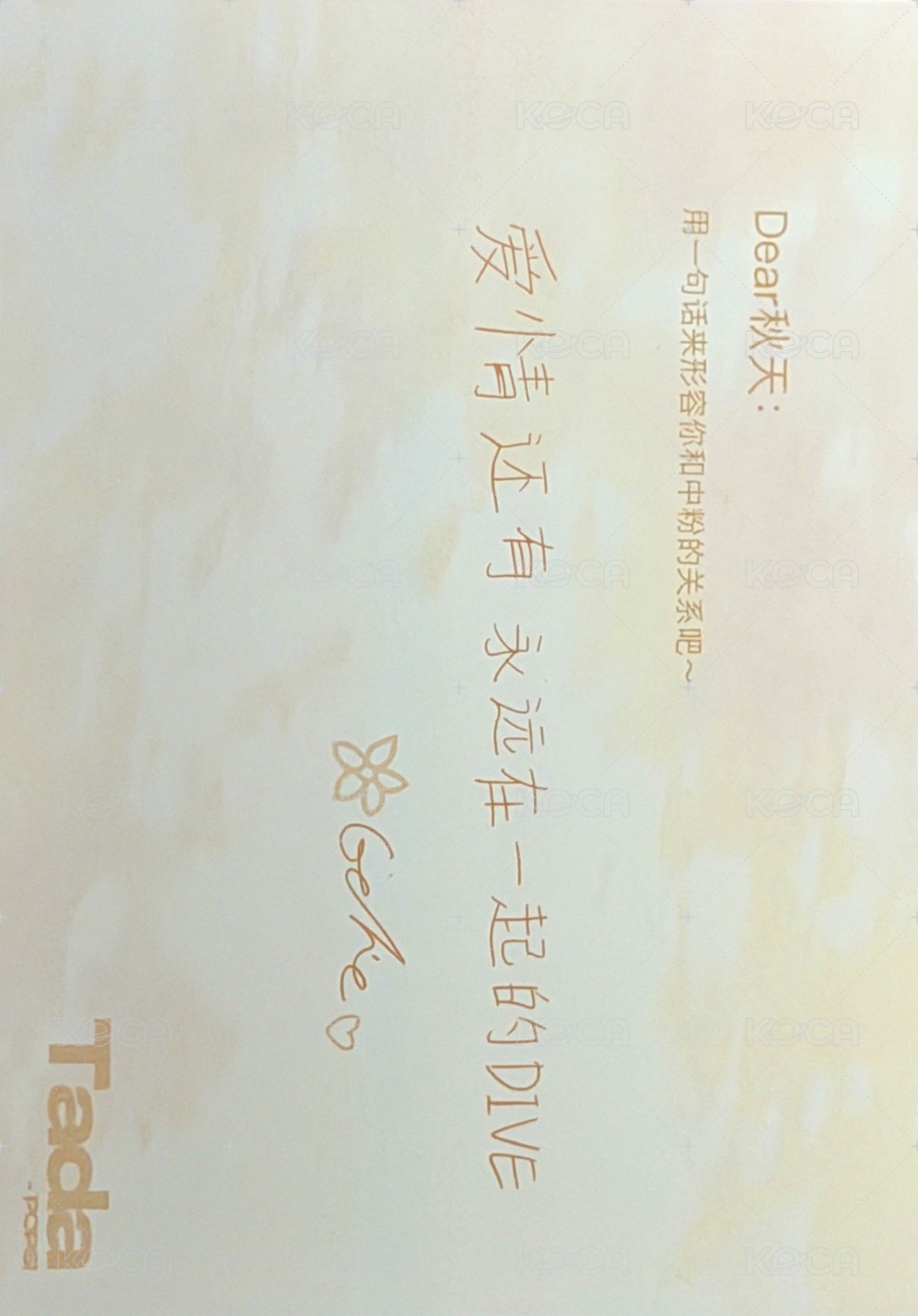 TadaPOPs B版 明信片  背面