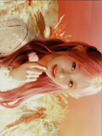 四期會員 明信片 小海報