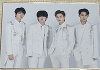 蛋巡黑泡分隊卡（無閃）