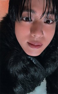 Echo wvs 特典卡 早鳥