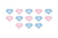 19’克拉島 布章 別針襟章 