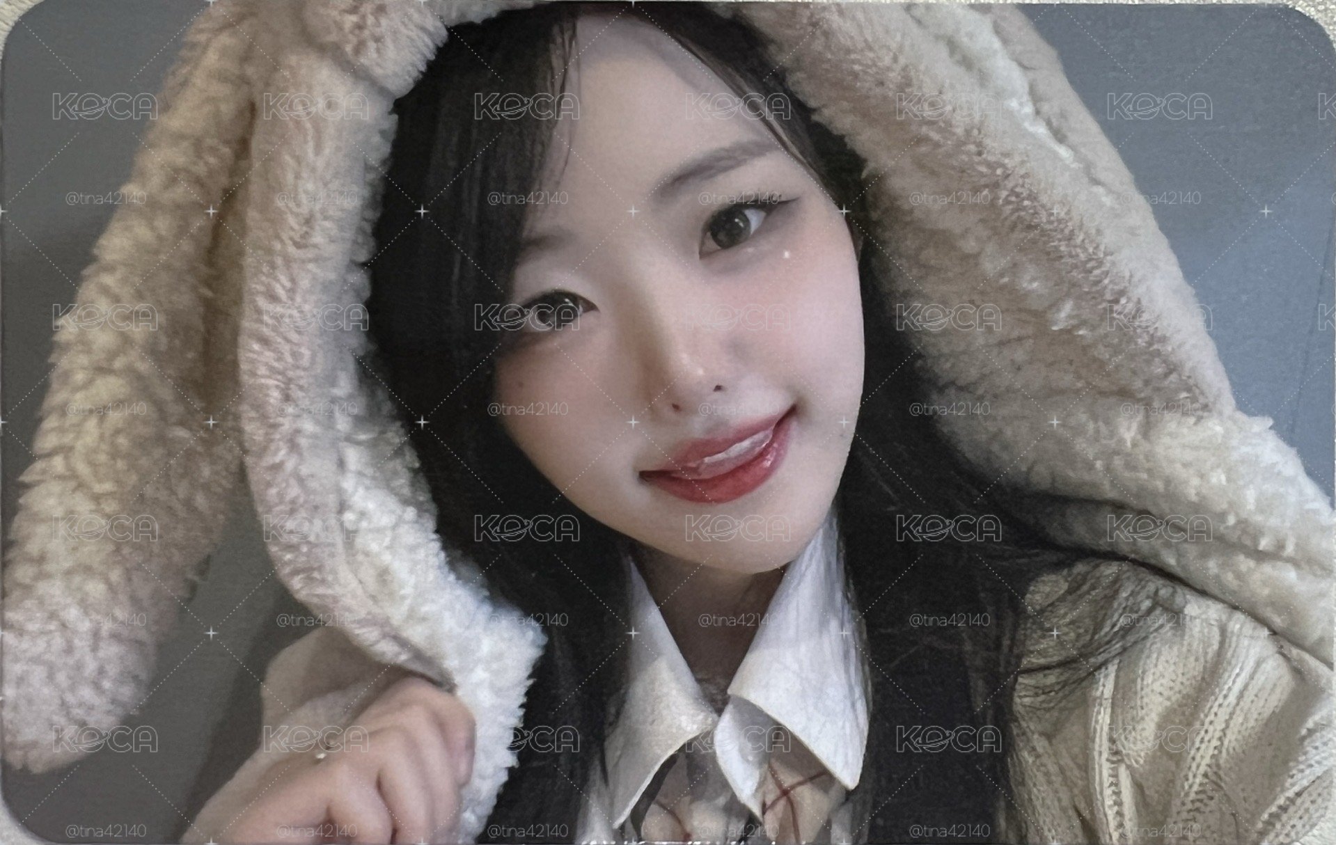 稀有兔毯娜🩵