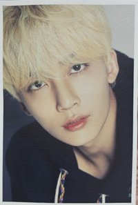 D'FESTA 明信片 第一週