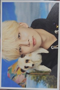 D'FESTA 明信片 第二週