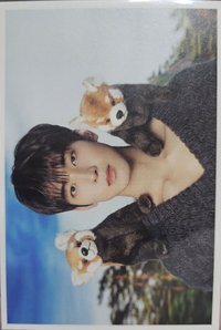 D'FESTA 明信片 第二週