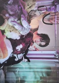 WHY.. 專輯 明信片 LETTER ver.