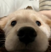 ㅇㄹ