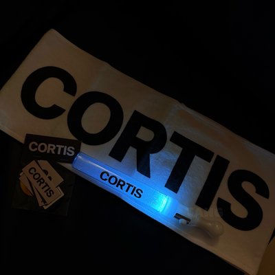 CORTIS 逆應援組