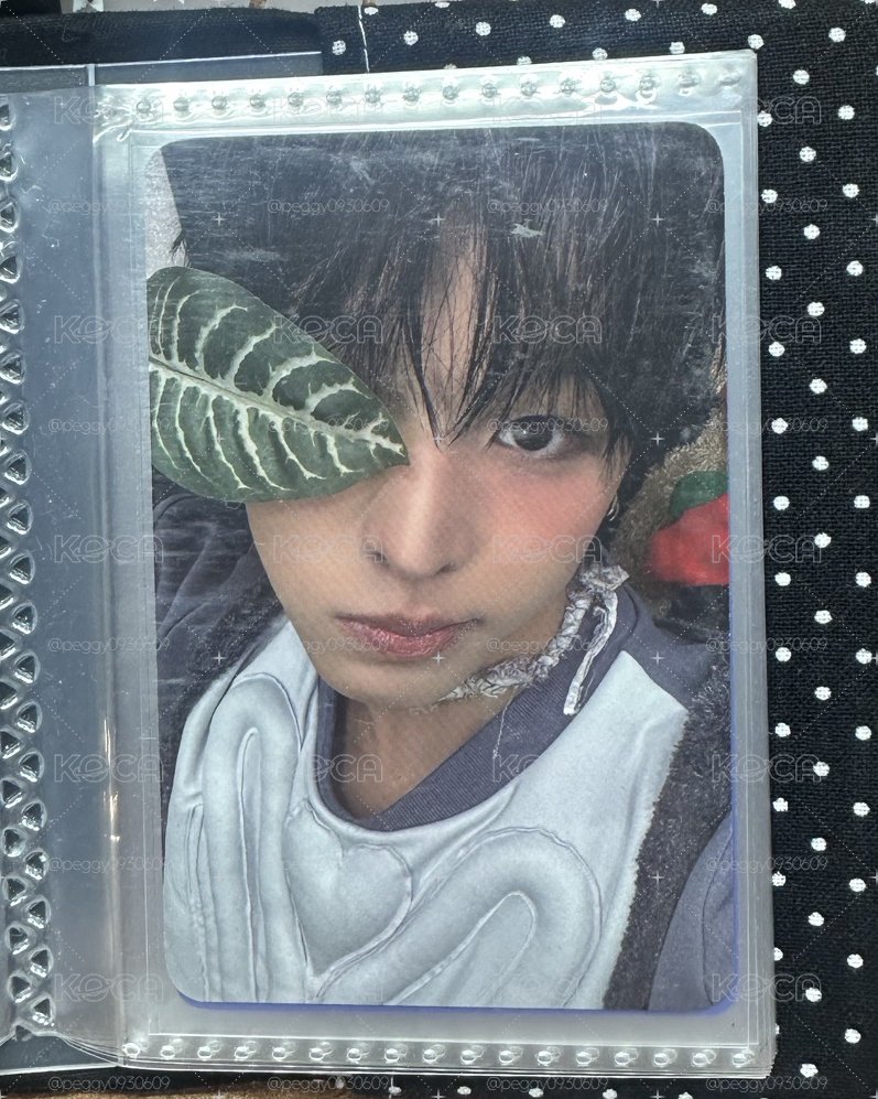 Color K4預售 Riku