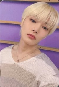 MAXIDENT sr 1.0 簽售卡 