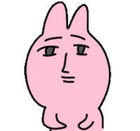 卡加布列島（3/20-3/31不出貨）