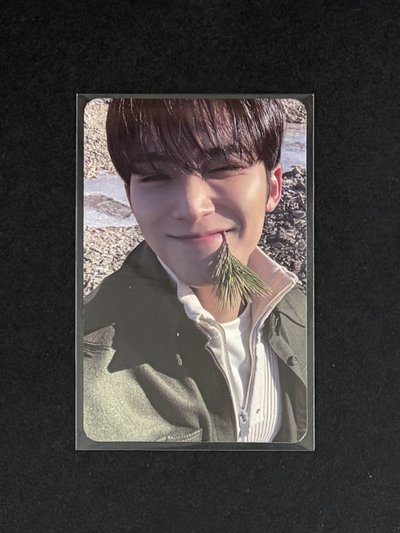 Mingyu 正規四專卡 咬草奎