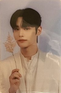 23'FC 入場卡 / 場限卡 CGV2.0