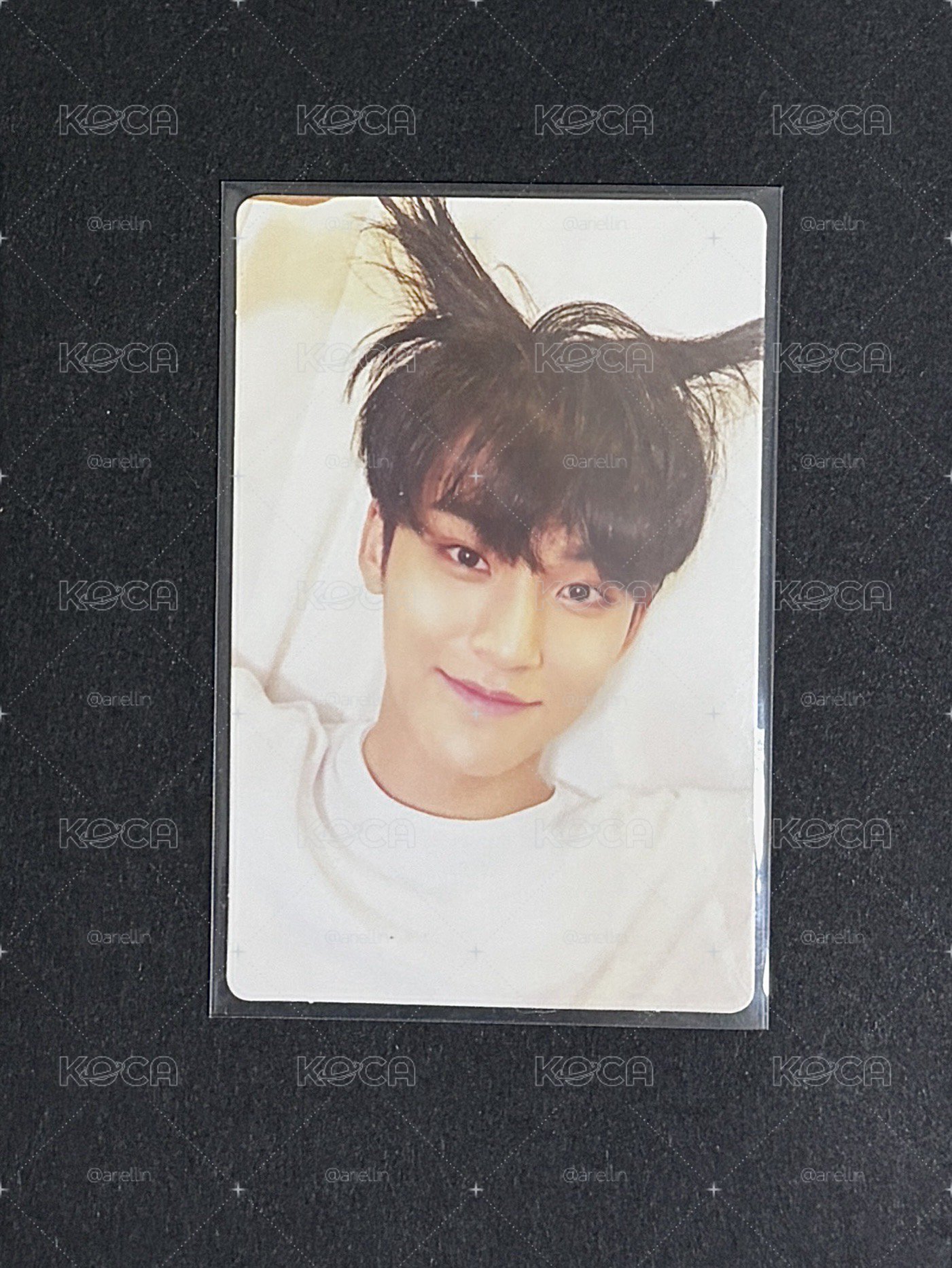 MINGYU 正二白奎