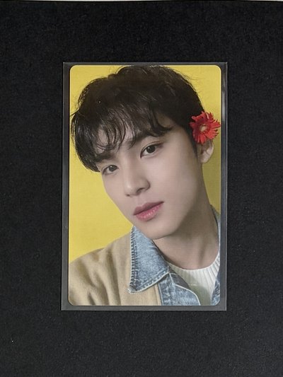 pol日咖紅花奎/mini8釜山幸運卡