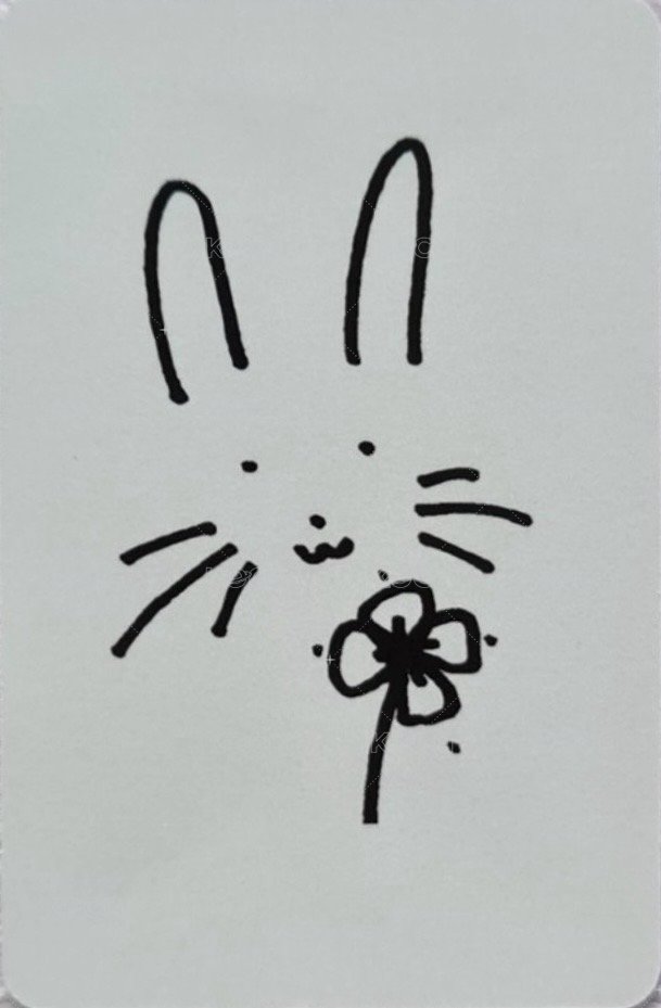 TNVS 單封 專輯卡  背面