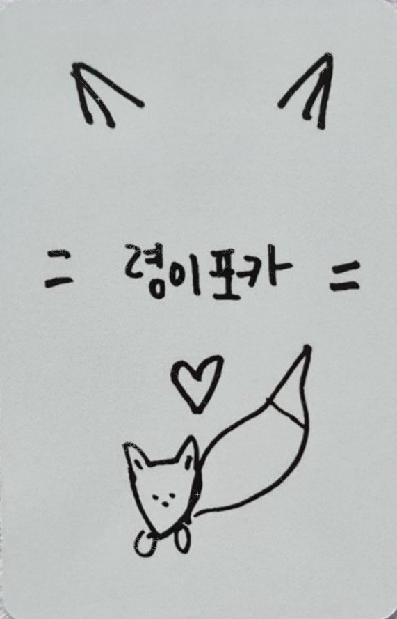 TNVS 單封 專輯卡  背面