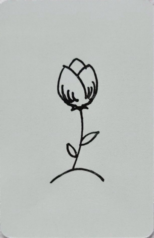 TNVS 單封 專輯卡  背面