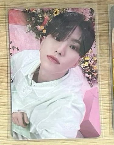 always yours 專卡 榮