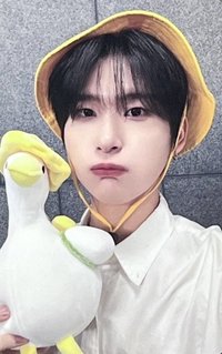 DtC ms 5.0 簽售卡 台北 黃色小鴨