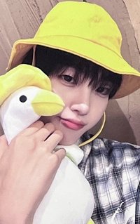 DtC ms 5.0 簽售卡 台北 黃色小鴨