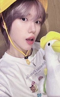 DtC ms 5.0 簽售卡 台北 黃色小鴨