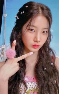 ANTIFRAGILE k4 簽售卡 