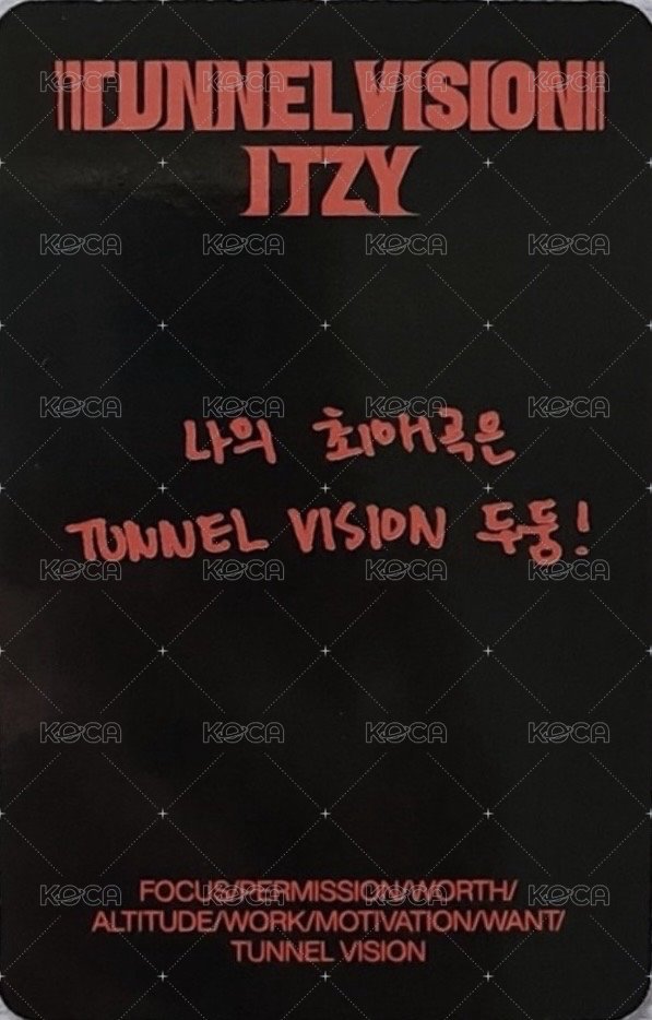 TNVS B版 專輯卡  背面