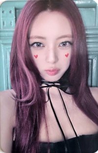 TNVS mp 預售 特典卡 