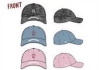 25世巡 日本場周 棒球帽 