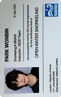 I Did It ididit 專輯卡 ID卡