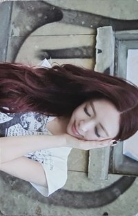 TNVS poca A 專輯卡 