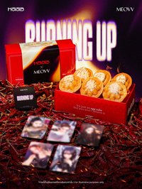 BURNING UP HAAB 代言卡